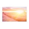 MySpotti Küchenrückwand Profix Cucina Provence 100 x 60 cm Lila Mix