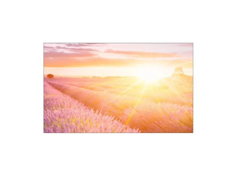 MySpotti Küchenrückwand Profix Cucina Provence 100 x 60 cm Lila Mix