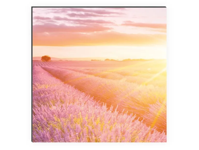 MySpotti Küchenrückwand Profix Cucina Provence 100 x 60 cm Lila Mix