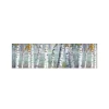 MySpotti Küchenrückwand Profix Cucina Birkenwald 210 x 60 cm Birke-Weiß
