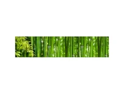 MySpotti Küchenrückwand Profix Cucina Bambus 270 x 60 cm Grasgrün