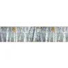 MySpotti Küchenrückwand Profix Cucina Herring Birkenwald 270 x 60 cm Birke