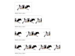 MySpotti Küchenrückwand Profix Cucina Fliegende Kuh 160 x 60 cm Schwarz-Weiß