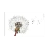 MySpotti Küchenrückwand Profix Cucina Dandelion 100 x 60 cm Weiß-Grau