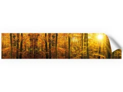 Myspotti Küchenrückwandfolie Herbstwald Selbstklebend 280 cm x 60 cm