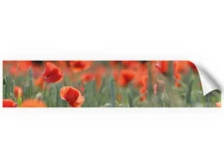 Myspotti Küchenrückwandfolie Mohn Selbstklebend 280 cm x 60 cm