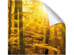 Myspotti Küchenrückwandfolie Herbstwald Selbstklebend 450 cm x 60 cm