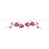 Myspotti Küchenrückwandfolie Orchidee Pink Selbstklebend 450 cm x 60 cm