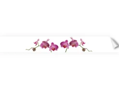 Myspotti Küchenrückwandfolie Orchidee Pink Selbstklebend 450 cm x 60 cm