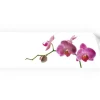 Myspotti Küchenrückwandfolie Orchidee Pink Selbstklebend 220 cm x 60 cm