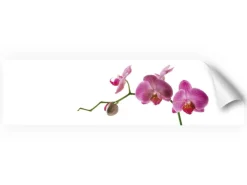 Myspotti Küchenrückwandfolie Orchidee Pink Selbstklebend 220 cm x 60 cm