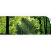 Myspotti Küchenrückwandfolie Sommerwald Selbstklebend 220 cm x 60 cm