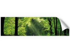 Myspotti Küchenrückwandfolie Sommerwald Selbstklebend 220 cm x 60 cm