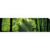 Myspotti Küchenrückwandfolie Sommerwald Selbstklebend 280 cm x 60 cm