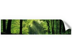 Myspotti Küchenrückwandfolie Sommerwald Selbstklebend 280 cm x 60 cm