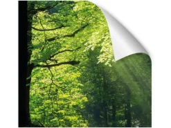 Myspotti Küchenrückwandfolie Sommerwald Selbstklebend 280 cm x 60 cm
