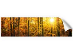 Myspotti Küchenrückwandfolie Herbstwald Selbstklebend 220 cm x 60 cm