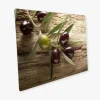 Myspotti Mini-Spritzschutzplatte Olivenzweig 59 cm x 41 cm
