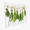 Myspotti Mini-Spritzschutzplatte Kräuterleine 59 cm x 41 cm