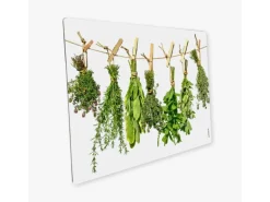 Myspotti Mini-Spritzschutzplatte Kräuterleine 59 cm x 41 cm