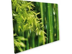 Myspotti Mini-Spritzschutzplatte Bambuswald 59 cm x 41 cm