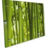 Myspotti Mini-Spritzschutzplatte Bambus 59 cm x 41 cm