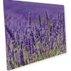 Myspotti Mini-Spritzschutzplatte Lavendel 59 cm x 41 cm