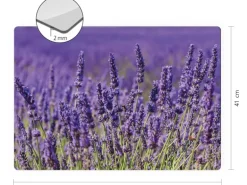Myspotti Mini-Spritzschutzplatte Lavendel 59 cm x 41 cm
