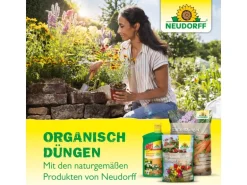Neudorff Azet Beeren- und Obst-Dünger 2,5 kg