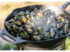 Petromax Feuerpfanne FP25-T Schwarz mit Stiel Gusseisen Ø 25 cm