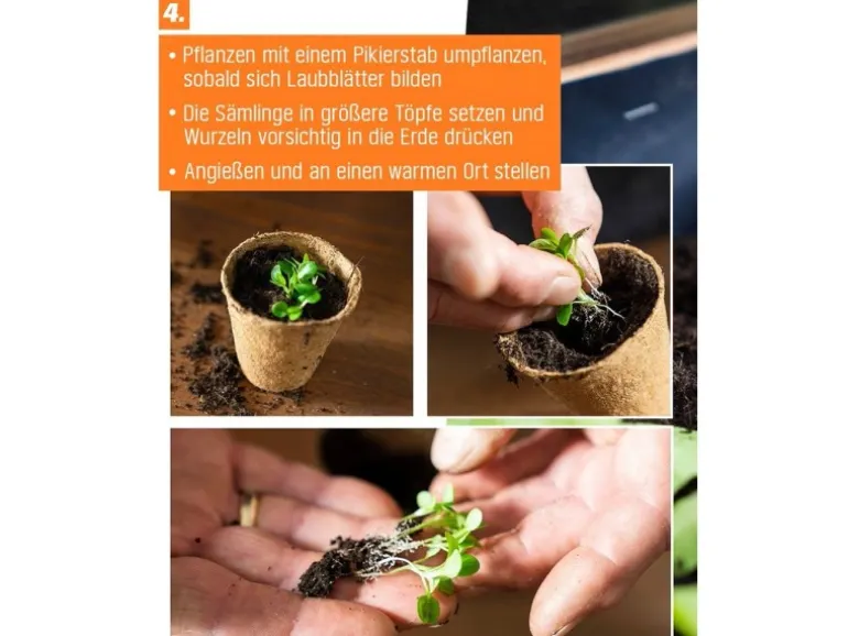 Proflora Kokosfaser Anzucht-Pflanztopf 0,05 l (20 Töpfe)