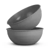 ProHome Kunststoff Schüssel BPA Frei 255 x 10 cm Grau 2er Pack