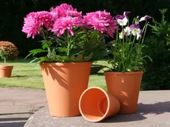 Rosentopf Ø 16 cm Terrakotta