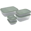 Rotho Frischhaltedosen-Set Elements Mistletoe Green 6-teilig