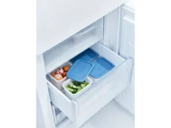 Rotho Gefrierdose-Set Domino 1 l Horizontblau 4-teilig