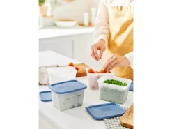 Rotho Gefrierdose-Set Domino 1 l Horizontblau 4-teilig