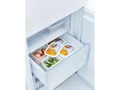 Rotho Gefrierdose-Set Domino 1 l Weiß 4-teilig