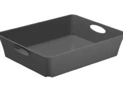 Rotho Living Box C5 Anthrazit 2,5 l