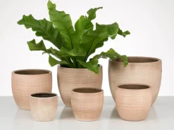 Scheurich Übertopf 866 Ø 16 cm Canela
