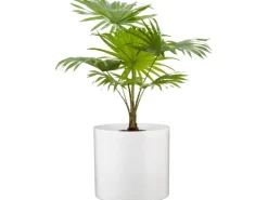 Scheurich Übertopf 828 Ø 16 cm Panna