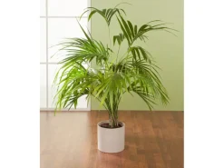 Scheurich Übertopf 828 Ø 16 cm Sesame