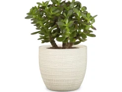 Scheurich Übertopf 866 Ø 14 cm Vainilla