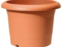 Scheurich Pflanzgefäß Oliver Ø 50 cm Terracotta