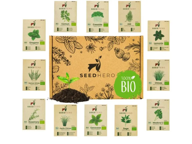Seedhero BIO Kräutersamen Set Mit 12 Sorten