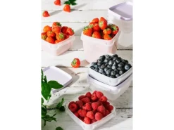 SmartStore Gefrierdose Frost 1 l Lavendel 3 Stück