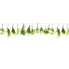 Spritzschutz-Rückwand WandArt easy 120 x 58,5 cm Herbs Line (D3106P BRIL) FSC®