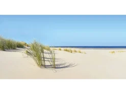 Spritzschutz-Rückwand WandArt easy 120 x 58,5 cm Summer Dune (D1103P BRIL) FSC®