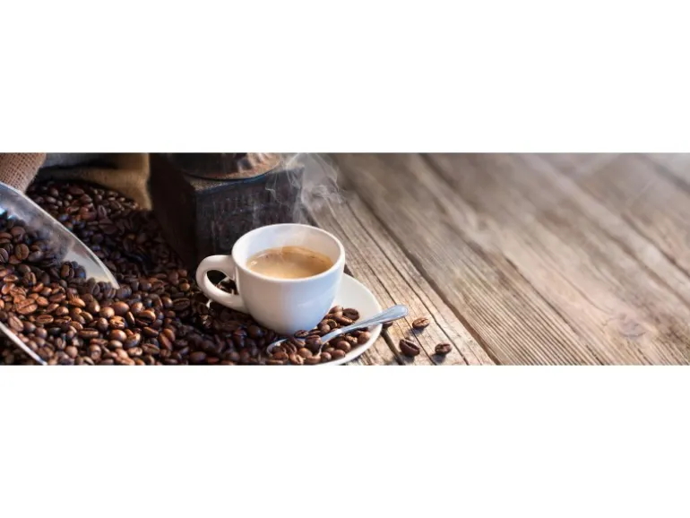 Spritzschutz-Rückwand WandArt easy 200 x 58,5 cm Coffee Beans (D3122P BRIL) FSC®