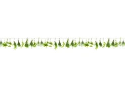 Spritzschutz-Rückwand WandArt easy 200 x 58,5 cm Herbs Line (D3106P BRIL) FSC®