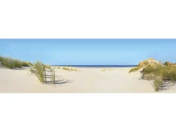 Spritzschutz-Rückwand WandArt easy 200 x 58,5 cm Summer Dune (D1103P BRIL) FSC®
